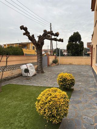 Jardinero Professional Económico