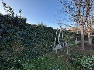 Jardinero Professional Económico