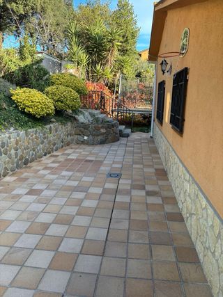 Jardinero Professional Económico