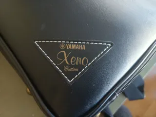 Funda para 2 trompetas