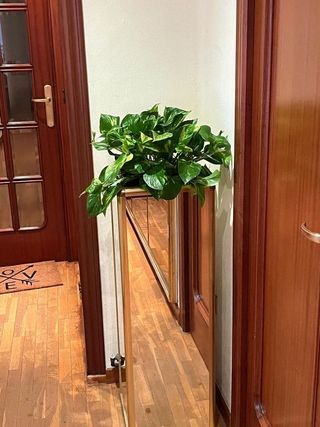 Piso en alquiler en Centro en Castellón de la Plana