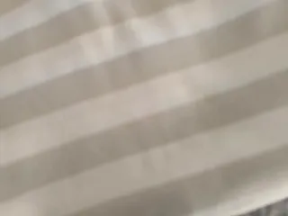 Lote 4 Polos y camisetas