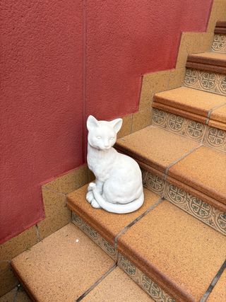 Figura Gato Blanco escayola