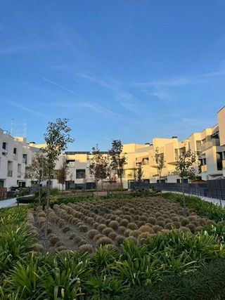 Ático en alquiler en Polígono Industrial Sur en San Sebastián de los Reyes