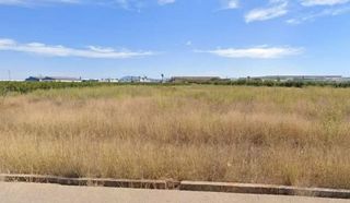 Terreno en venta en Alcúdia (l´)