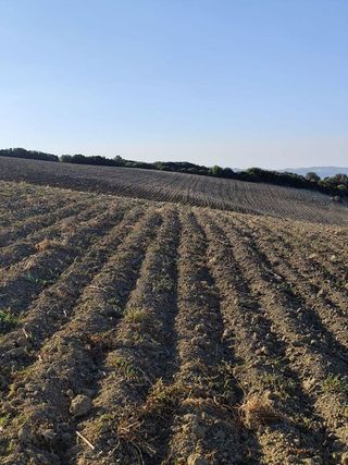 Casa rural en venta en Arcos de la Frontera