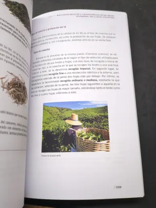 Vinos, otras bebidas alcohólicas, aguas, cafés ...