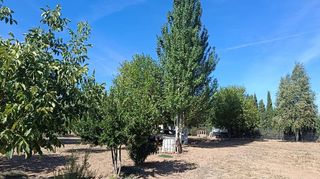 Terreno en venta en Santa María en Ciudad Real