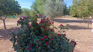 Terreno en venta en Santa María en Ciudad Real