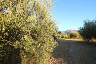 Casa rural en venta en Alhaurín el Grande