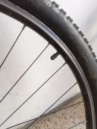 Rueda de Bicicleta Hutchinson Python