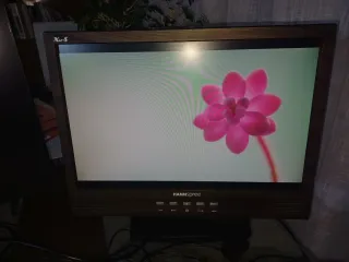 Monitor Hannspree XM 19 pollici effetto legno