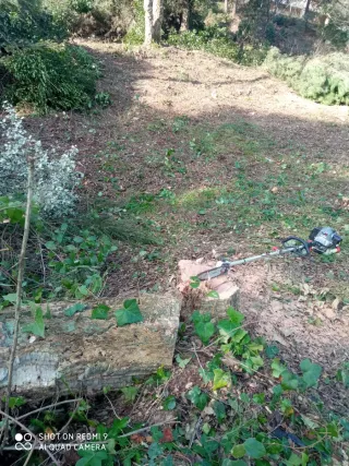 Pintor Limpieza de jardines mantenimiento general