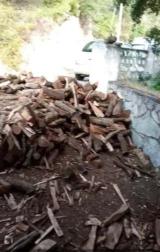 Pintor Limpieza de jardines mantenimiento general