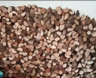 Pintor Limpieza de jardines mantenimiento general