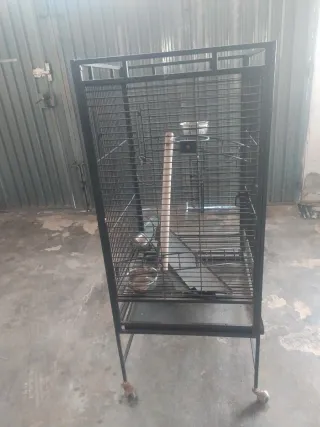 Jaula grande para loros
