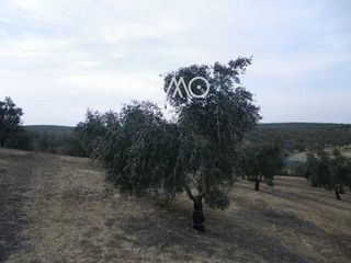 Terreno en venta en Lucena