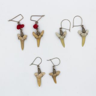 OFERTA PROMOCION Aretes Dientes Tiburón Fósiles