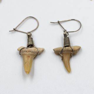 OFERTA PROMOCION Aretes Dientes Tiburón Fósiles