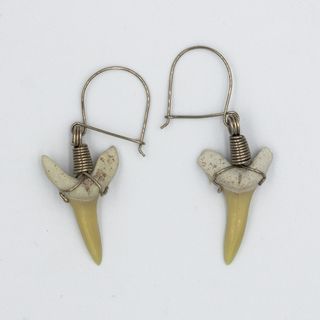 OFERTA PROMOCION Aretes Dientes Tiburón Fósiles