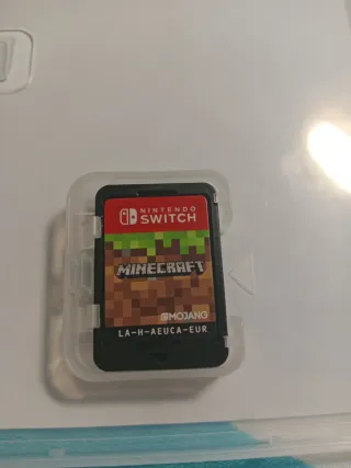 Minecraft Nintendo Switch