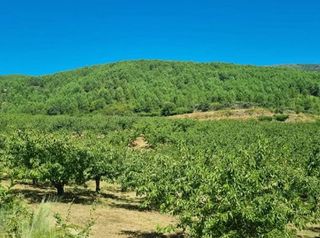 Terreno en venta en Mombeltrán