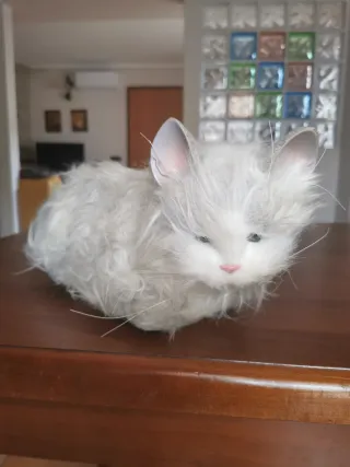 Gatto persiano realistico