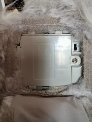 Gatto persiano realistico