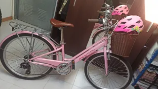 Bicicleta Monty Rosa con Cesta y Bici pequeña.
