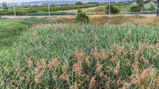 Terreno en venta en Moncófar playa en Moncofa