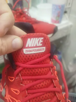 Nike Zoom Pegasus 33 Rojas