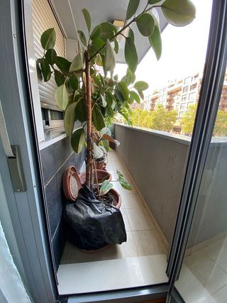 Piso en venta en Este en Castellón de la Plana