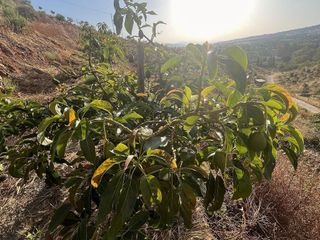 Terreno en venta en Alhaurín el Grande