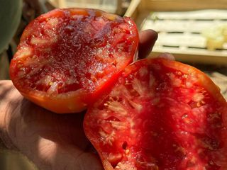 Terreno en venta en Alhaurín el Grande