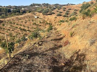 Terreno en venta en Alhaurín el Grande