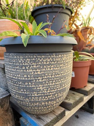 Macetas de cerámica con diseño texturizado