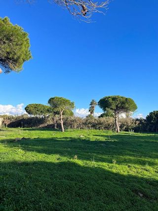 Solar en venta en Novo Sancti Petri - Torre del Puerco en Chiclana de la Frontera
