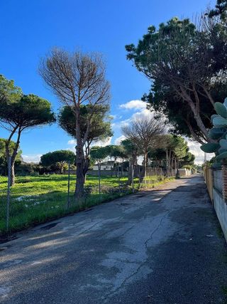 Solar en venta en Novo Sancti Petri - Torre del Puerco en Chiclana de la Frontera