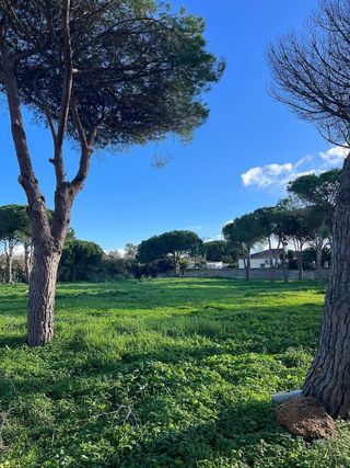 Solar en venta en Novo Sancti Petri - Torre del Puerco en Chiclana de la Frontera