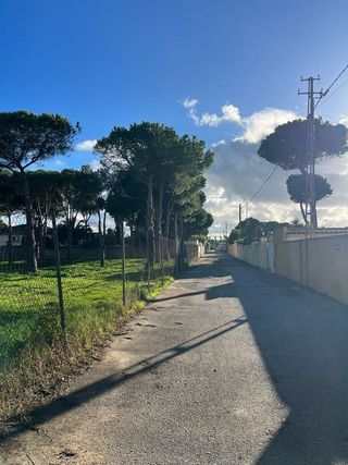 Solar en venta en Novo Sancti Petri - Torre del Puerco en Chiclana de la Frontera