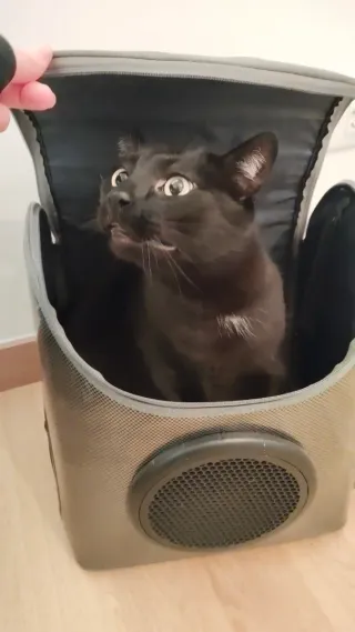 Mochila transportín para mascota pequeña