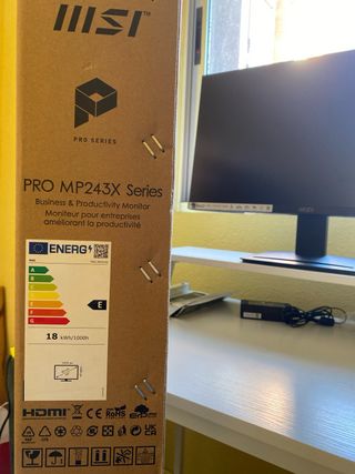 Monitor MSI PRO MP243X 100Hz Negro