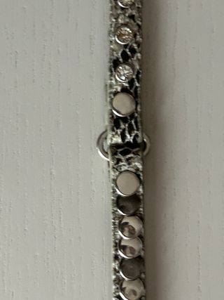 Cintura Beige e Argento con Borchie