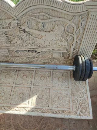 Barra de pesas con discos