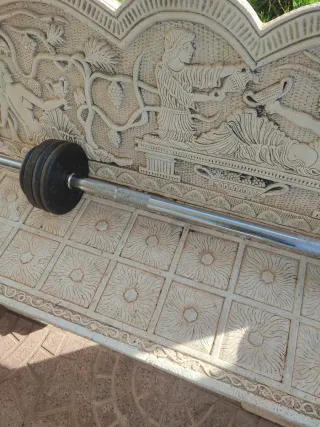 Barra de pesas con discos