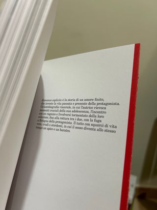 FUMETTIBRUTTI - ROMANZO ESPLIC