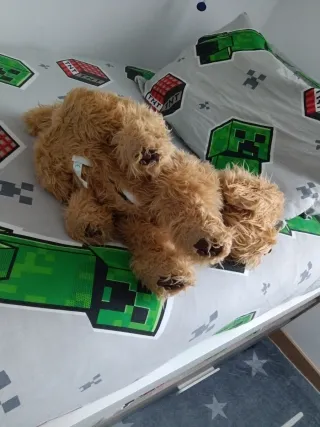 Perro interactivo Moji