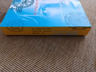 El viaje de Teo (Spanish Edition)