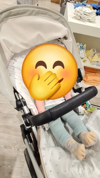 Bugaboo Cameleon 3 Capazo y Silla