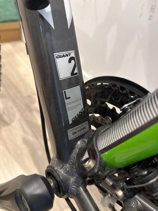 Bicicleta Giant Roam